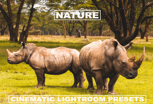 Download Cinematic Lightroom Presets Nature Tone - Presets Collection