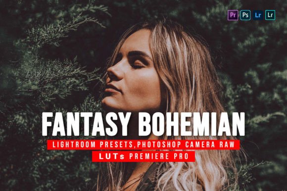 Download 5 Fantasy Bohemian Presets and Luts - Presets Collection