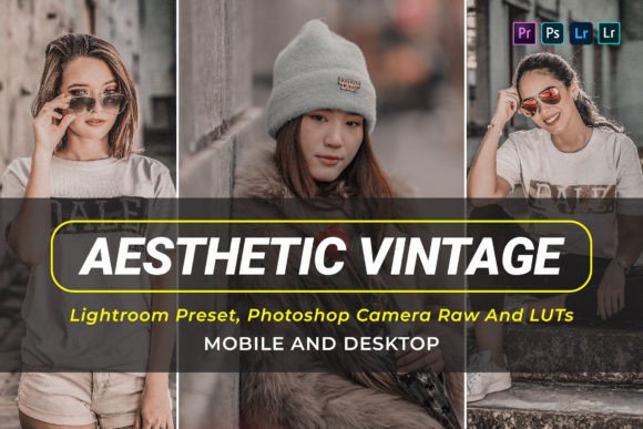 Download 10 Aesthetic Vintage Presets and Luts - Presets Collection