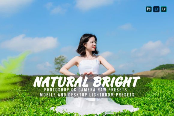 Download 10 Natural Bright Lightroom Presets - Presets Collection