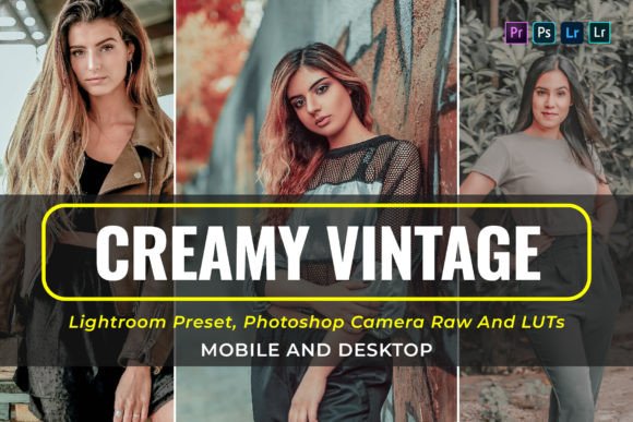 Download 10 Creamy Vintage Presets and Luts - Presets Collection