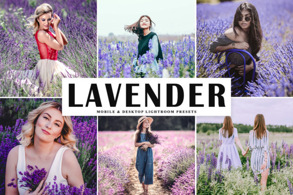 Download Lavender Pro Lightroom Presets - Presets Collection