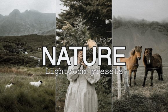 Download 9 Nature Lightroom Mobile Presets - Presets Collection