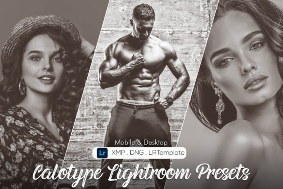 Download Calotype Lightroom Presets - Presets Collection