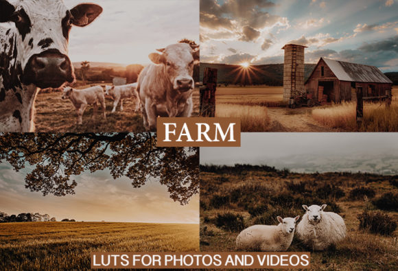 Download Desktop and Mobile Lightroom Presets - Desktop Collection