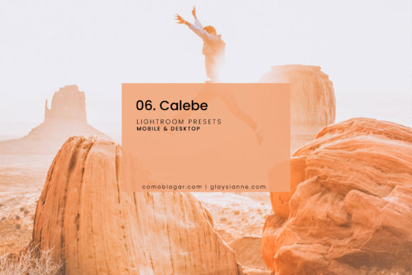 Download 06. Calebe Blogger Presets - Presets Collection