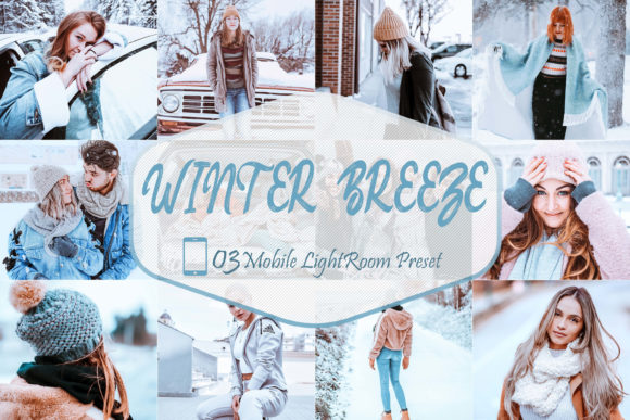 Download 03 Winter Breeze Mobile LR Presets - Presets Collection