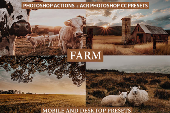 Download Photoshop Actions, ACR Presets, Lrpreset - Presets Collection