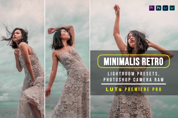 Download 5 Minimalist Retro Presets and Luts - Presets Collection