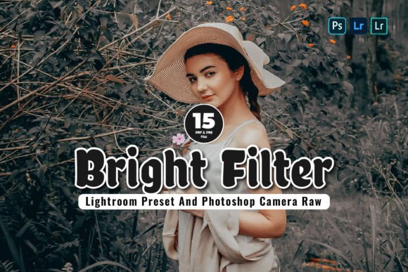 Download 15 Bright Filter Lightroom Presets - Presets Collection